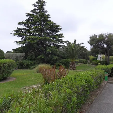 Appartement Le Pénéqué Des Anges *