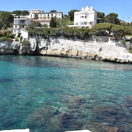 Le Pénéqué Des Anges La Ciotat